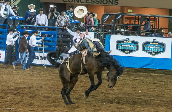 Best Rodeos To See In The American West - NewsBreak