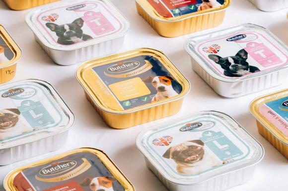Can Cats Eat Wet Dog Food? - NewsBreak