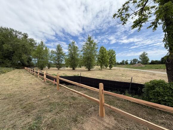 Cleanup and Repairs Continue at Mills River Park - NewsBreak