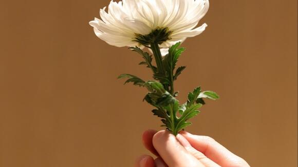 https://img.particlenews.com/image.php?url=3lewZI_1EFYpuuy00