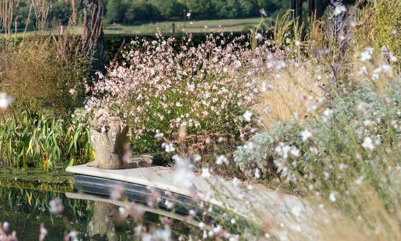 'Our Own Little Eden' – How Designer Rachel Platt Turned an Underused ...