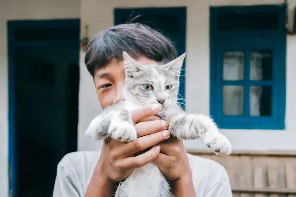 The ‘Independent’ Cat Myth Debunked: They Secretly Crave Your Constant ...