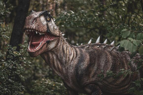 Why Dinosaurs Never Stopped Fascinating Humans - NewsBreak