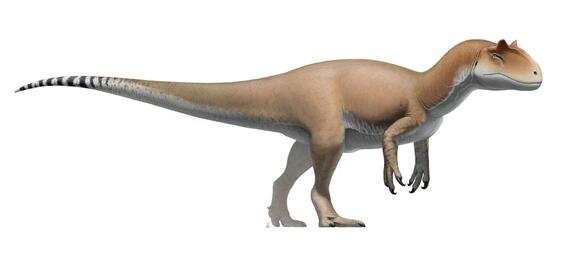 Unearthing the Giants: North America’s Most Imposing Prehistoric ...