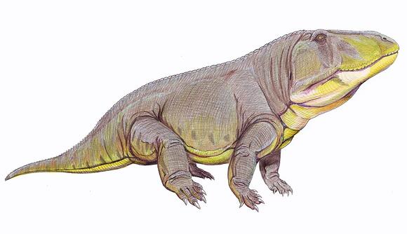 The Early Archosaurs: Dinosaur Ancestors You’ve Probably Never Heard Of ...
