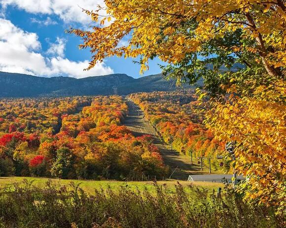 Why is the Albany Pine Bush on Fire? - NewsBreak