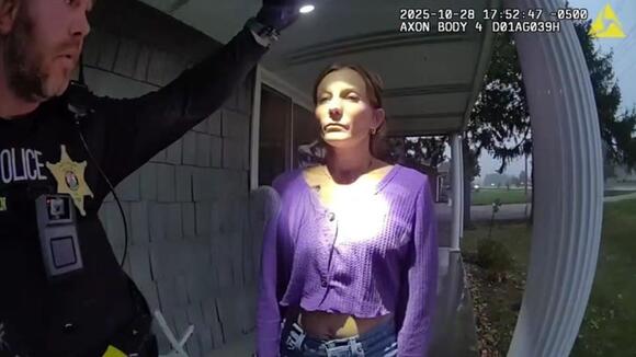 Argument Over Kitty Litter Ends With a Daughter Arrested for Attacking ...