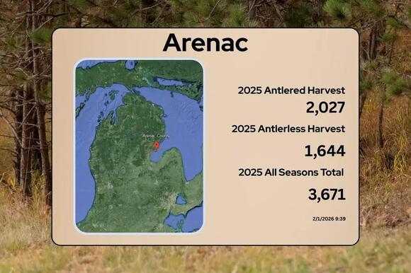 Michigan 2025 Deer Harvest Report: 83 County Breakdown - NewsBreak