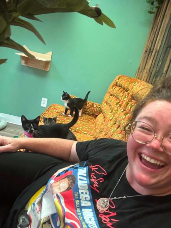 SPARKY's Handsome Cat Cafe to Open in Owensboro Next Week - NewsBreak