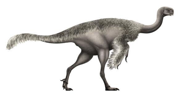 How Did Raptors Hunt in Packs? New Evidence Suggests Strategy - NewsBreak