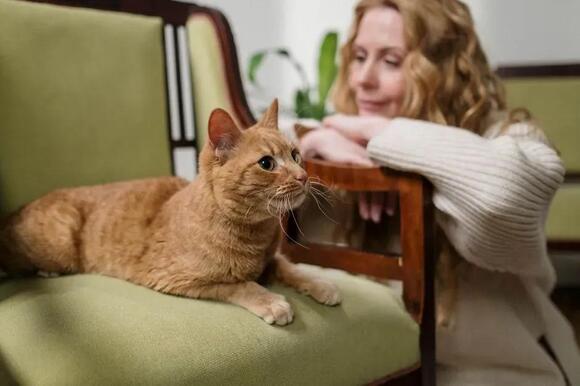 10 Surprising Things Your Cat Learns From Watching You (Good and Bad ...