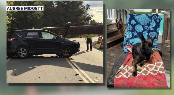 Dog missing after construction material falls on car in Virginia Beach ...