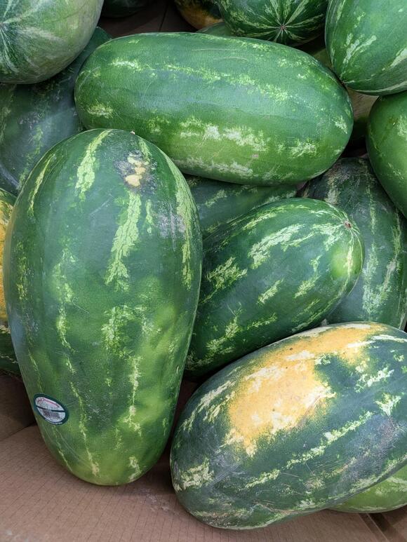 Before You Buy Watermelon This July, Here Are 5 Things You Should Know ...