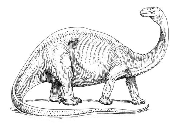 Was the Brontosaurus Ever Real? The Name Game in Dinosaur ...