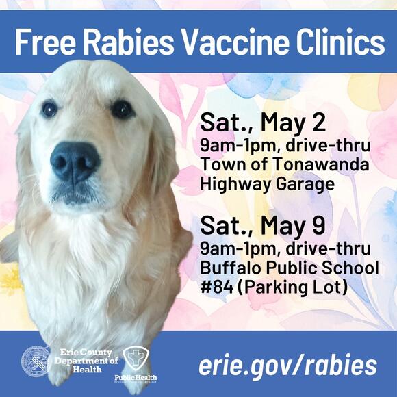 Free Pet Rabies Clinics Offered in Erie County - NewsBreak