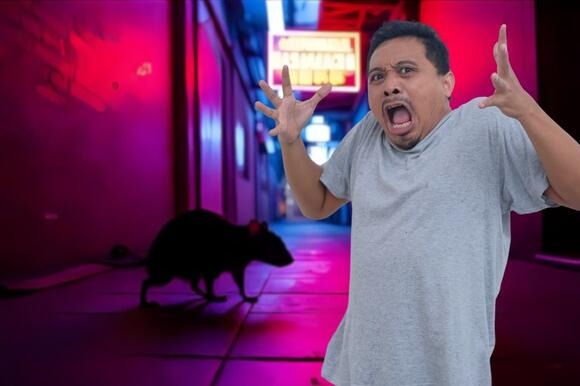 Boise Has A Rat Problem, And No One Is Doing Anything - NewsBreak