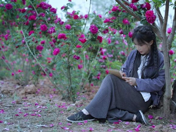 Li Ziqi is back! Popular Chinese farm life influencer returns after ...