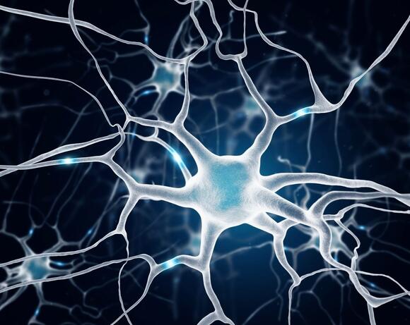 Self-repair switch in the brain may help reverse memory loss - NewsBreak