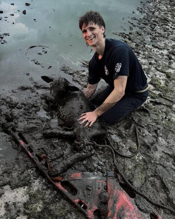 Firefighters rescue calf from mud during brush fire - NewsBreak