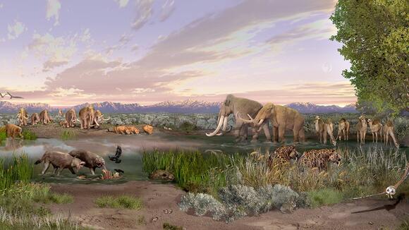 Why Are There No More Giant Mammals? The Extinction of Megafauna ...