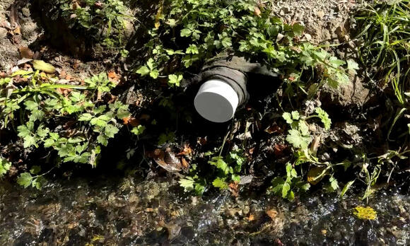 Hog Island Pulls 200,000 Tomales Bay Oysters After Sewage Spill - NewsBreak