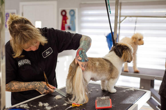 How to Bathe and Groom a Dog Without Straining Your Back - NewsBreak