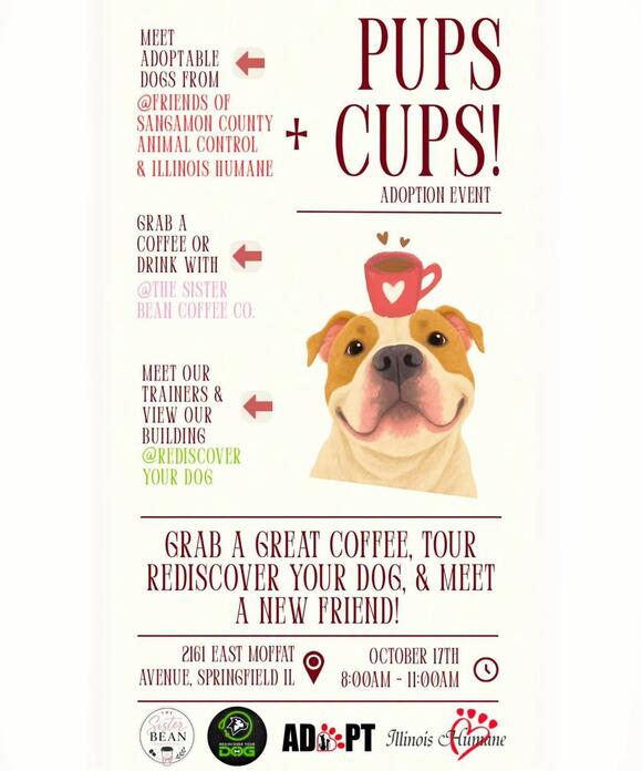 Dog adoption event at Rediscover Your Dog Oct. 17 - NewsBreak