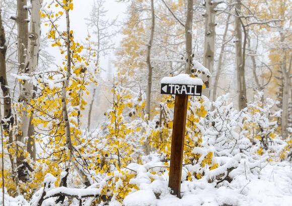 Utah’s Alta Ski Area Opens to Uphill Traffic Following Early-Season ...
