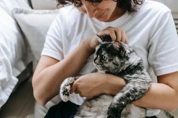 12 Unique Cat Traits That Prove They’re Your Best Home Companion ...