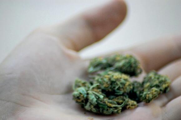Brick Introduces Marijuana Dispensary Legalization In 6-1 Vote - NewsBreak