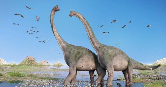 Brachiosaurus vs Brontosaurus: 5 Key Differences Explained - NewsBreak