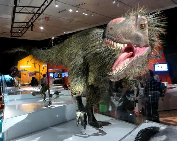 7 Little-Known Facts About the Tyrannosaurus Rex’s Family Tree - NewsBreak