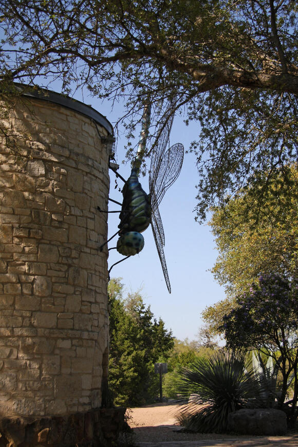 Science Says Flight Evolved Independently in Insects, Pterosaurs, Birds ...