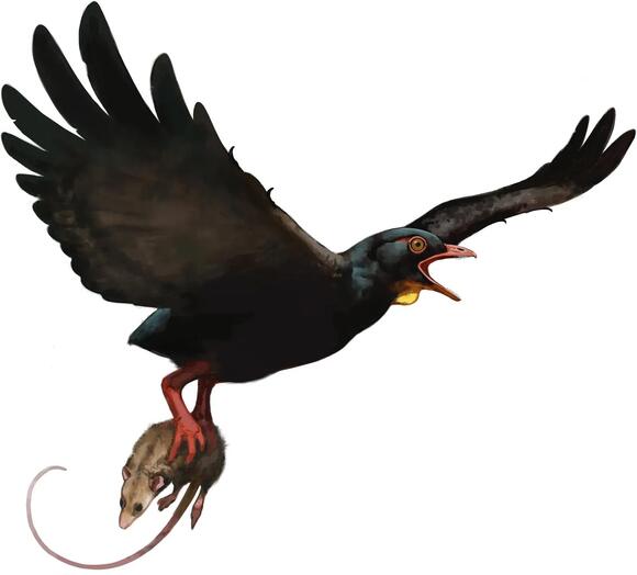 9 Incredible Prehistoric Birds That Could Rival Modern Raptors - NewsBreak