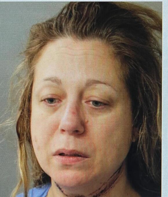Wellesley mother accused of killing her 2 children appears in Vermont ...