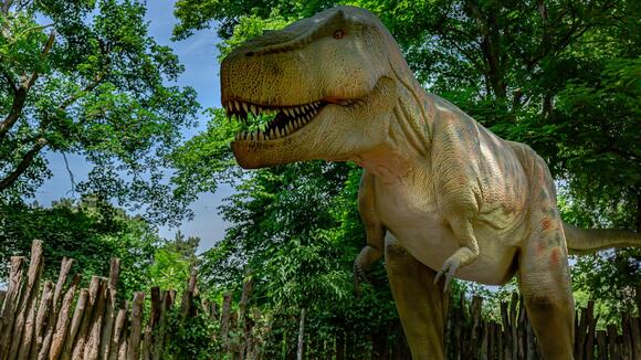 Were Some Dinosaurs Nocturnal? Clues From Fossil Eyes - NewsBreak