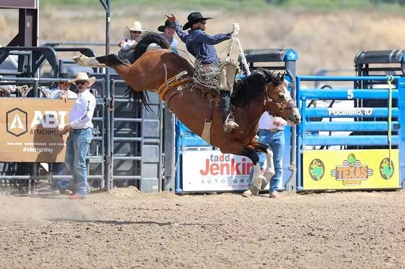 Photo of the Week: HS sports shift to summer ball; rodeo rides into ...