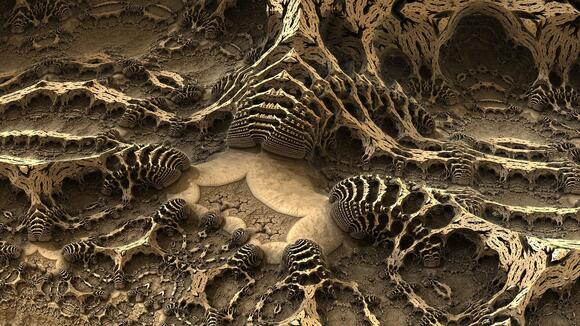 Can You Keep Fossils You Find? What the Australian Law Says - NewsBreak