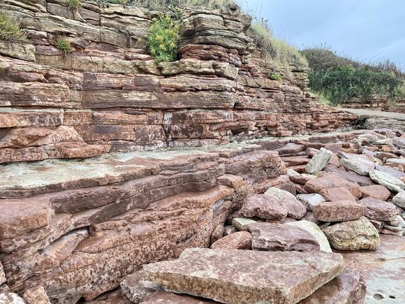 What the Rock Layers Tell Us About Earth’s Ancient Past - NewsBreak