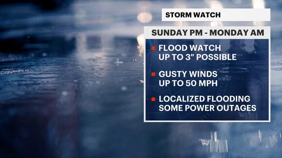Storm Watch: Heavy rain, strong winds Sunday to impact New York City
