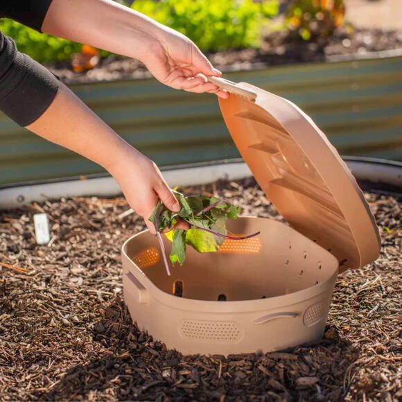 DIY Anti-Bug Compost Spray Recipes: Natural Solutions To Keep Pests Out ...