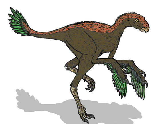 Incisivosaurus: The Buck-Toothed Dinosaur That Ate Plants (and Maybe ...