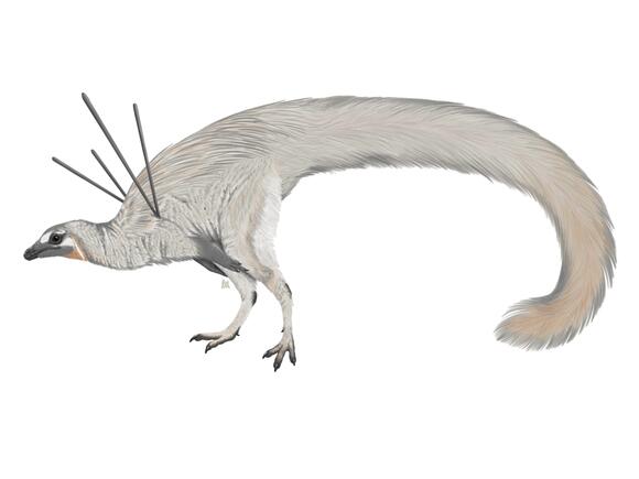 5 Dinosaur Species Discovered in the Last Decade That Are Stranger Than ...