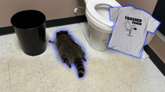 Hanover shelter selling 'Trashed Panda' shirts featuring drunk raccoon ...