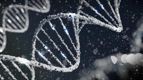 Why Some People Are Born With an Extra Rib and Never Notice - NewsBreak