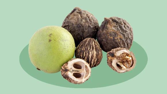 Are Black Walnut Hulls Safe? Know the Risks First! - NewsBreak