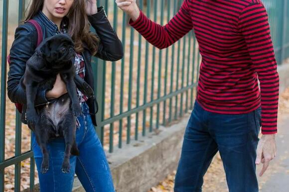 Woman Refuses to Put Friend’s ‘Wolfdog’ on Her Exotic Pet Permit After