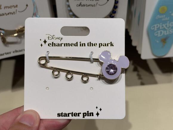 'Charmed in the Park' Bracelets, Charms, Phone Straps, and Keychains ...