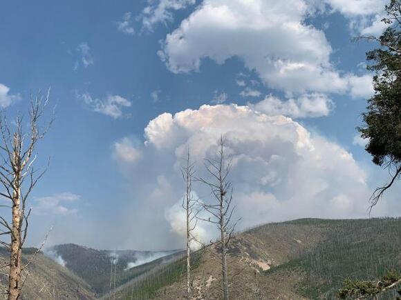 Montana Wildfire alert: Trail Ridge Fire update 2022-10-16 - NewsBreak