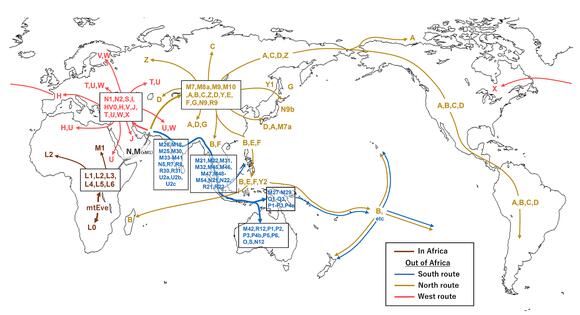 8 Astounding Facts About Early Human Migration That Shaped Our World ...